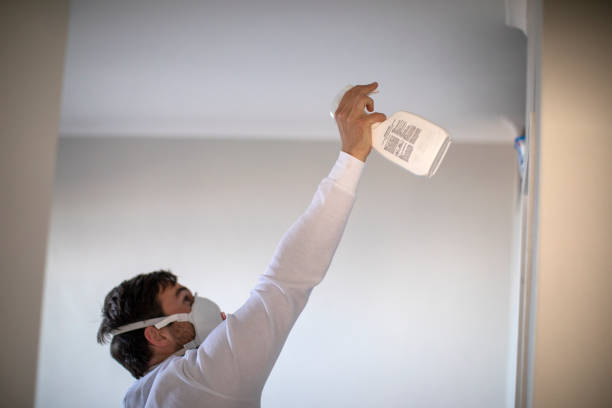 Best Residential Mold Remediation in Pryor Creek, OK