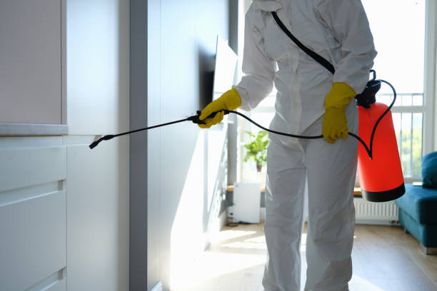 Best Attic Mold Remediation in Pryor Creek, OK