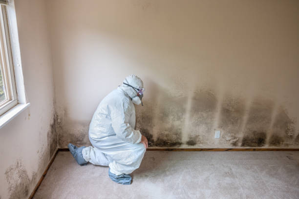 Best Bathroom Mold Remediation in Pryor Creek, OK